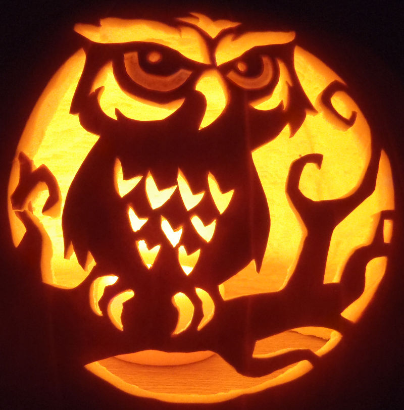 Spooky Curious Owl by johwee on DeviantArt spooky-curious-owl-by-johwee-on-deviantart