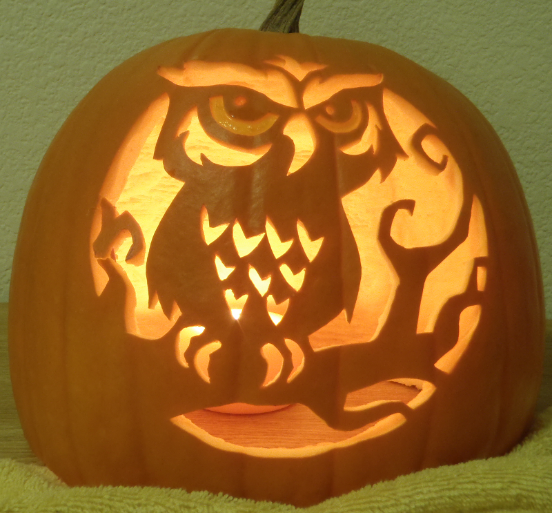 Spooky Owl Light