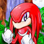 Knuckles - Ready for the Fight