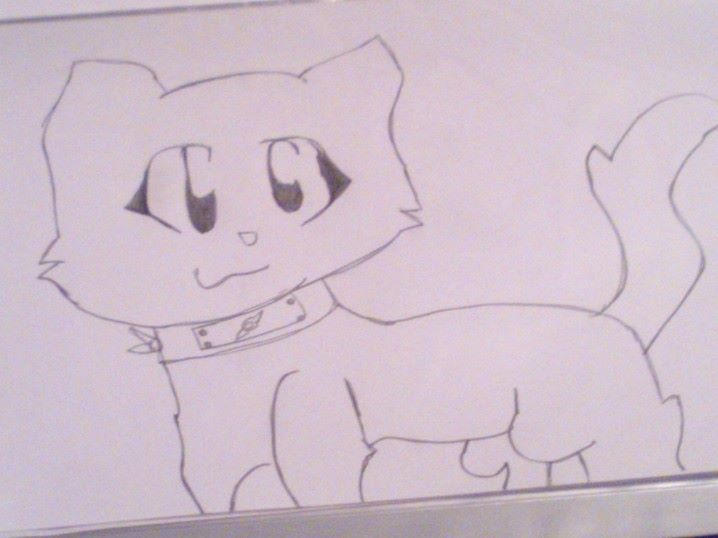 Anime Cat Drawing