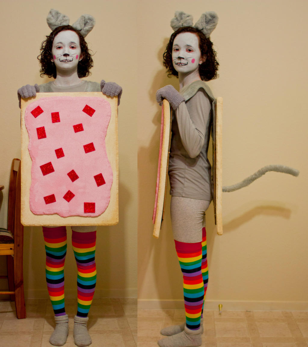 Nyan Cat Costume By HomelessCat On DeviantArt Nyan Cat Costume By Homelesscat On Deviantart