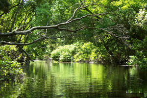 Perfect Day for Canoeing