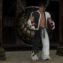 Jin Kazama training