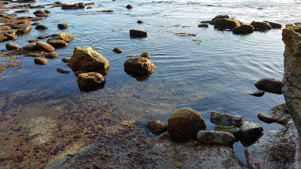 Shoreline Rocks 2 by BlackHawk00021 on DeviantArt