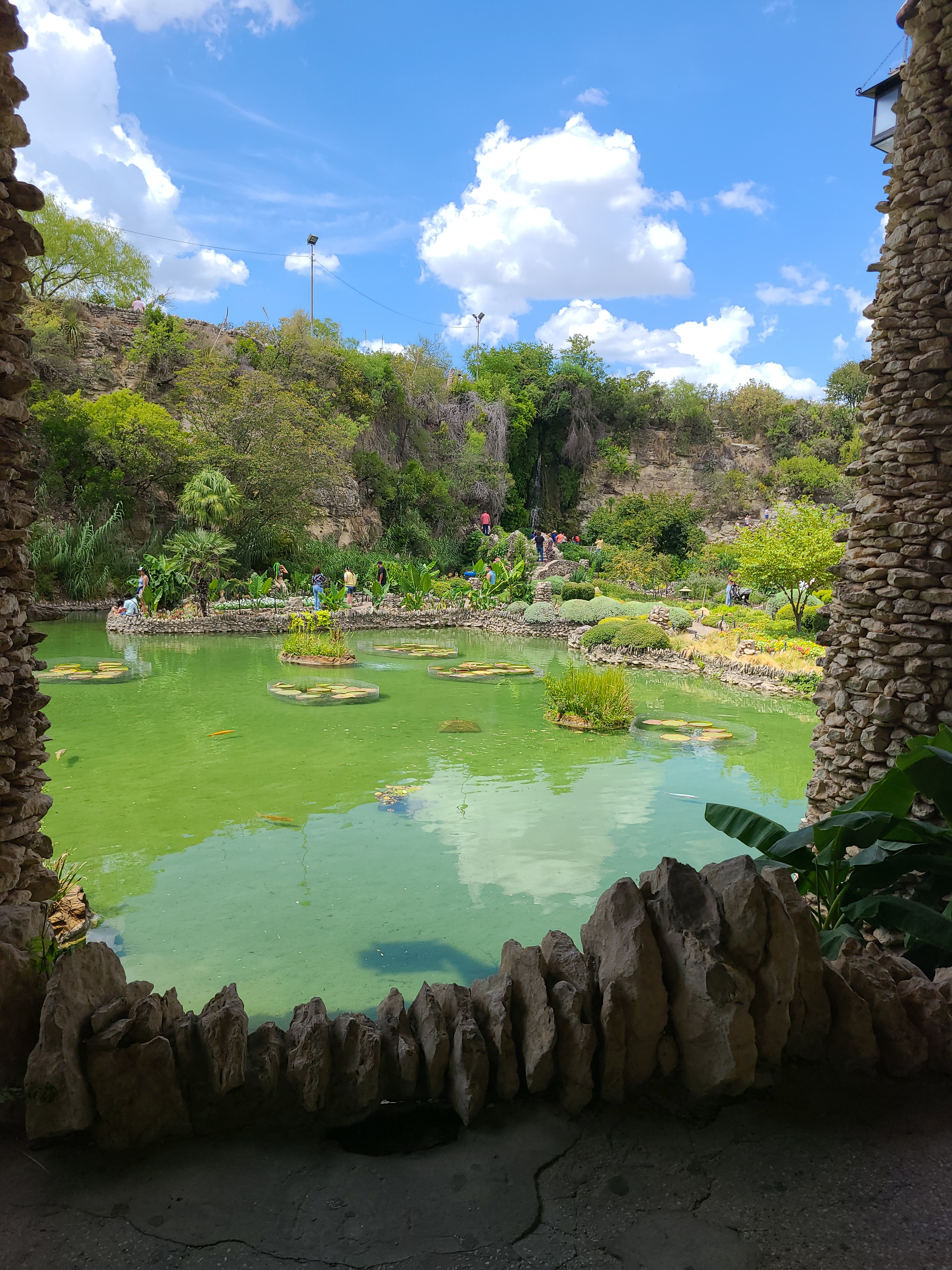 Japanese Tea Garden Overlook