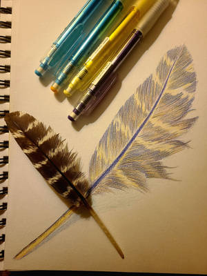Feather Tutorial Sketch