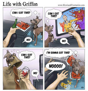Life With Griffon - NO!