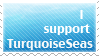 I Support Turquoise Seas-Stamp by resizer