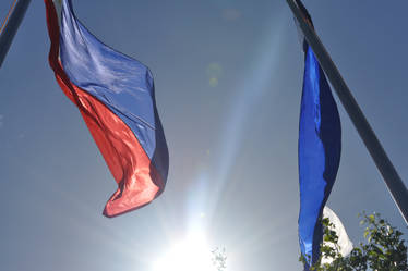 Flags in a Windy Afternoon