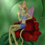 Pixie Cat