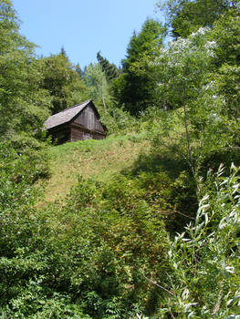 cottage bran