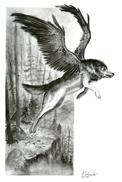 flying wolf by develino on DeviantArt