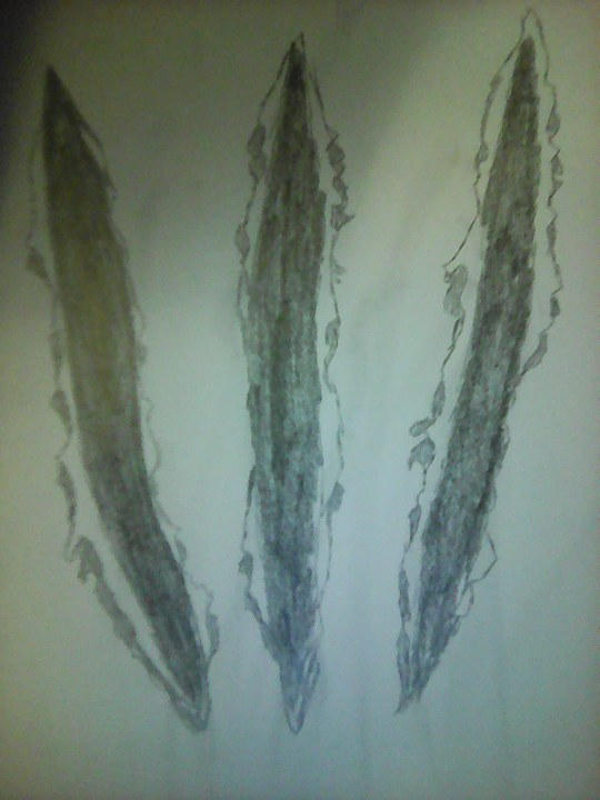 Wolverine Scratch Patterns Wolverine Claw Scratch. by BenTheGhost6704 on DeviantArt