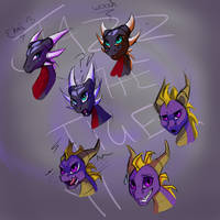 Spyro and Cynder- animated-