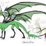 Dragon!Zim Ref Sheet