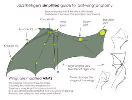 Jazz's simplified guide to  'bat-wing' anatomy
