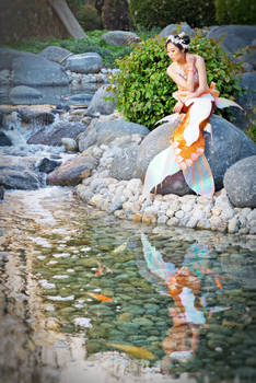 Koi Mermaid Reflection