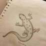 Gecko Sketch