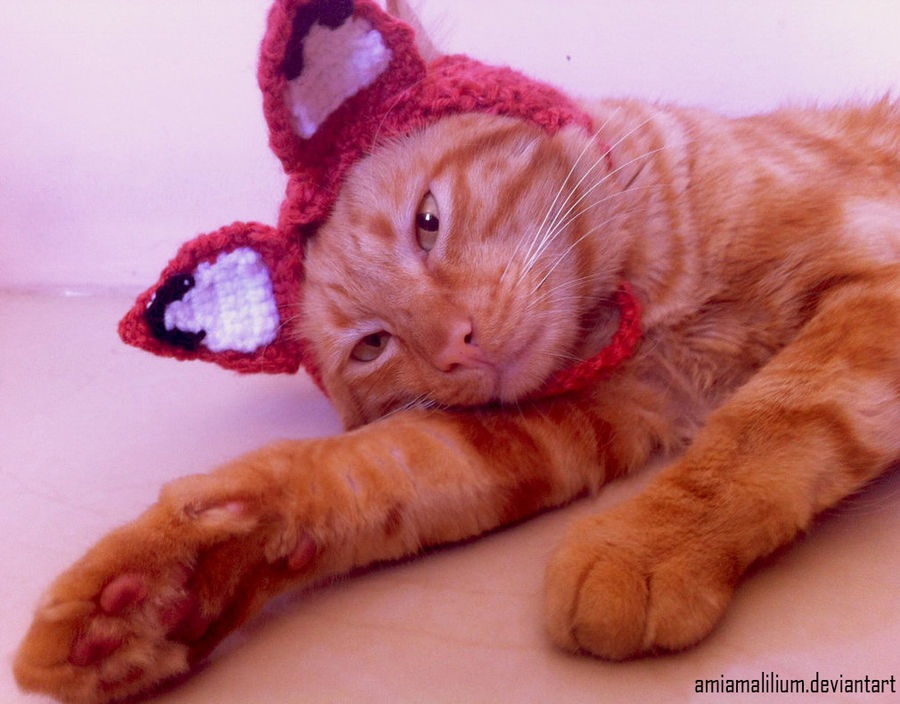 Crochet fox hat for cats :D