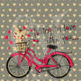 Gatito en Bicicleta / Cat with Bicycle