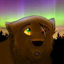 Teeko's First Look at the Northen Lights