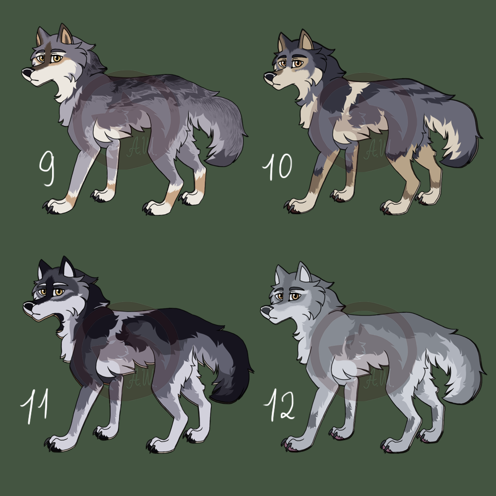 Wolf design adopts by Wintergatess on DeviantArt