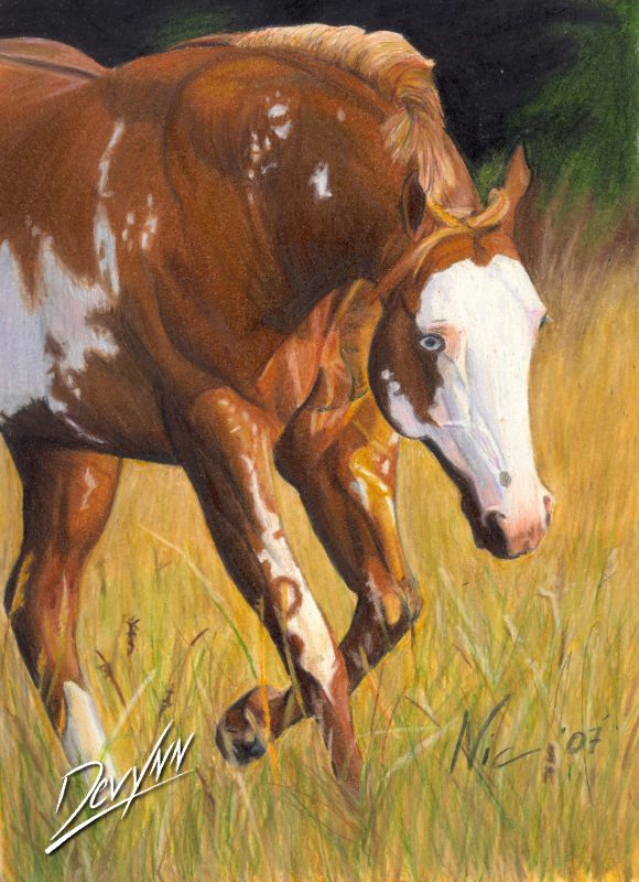 Curiosity - Prismacolor by Devynn