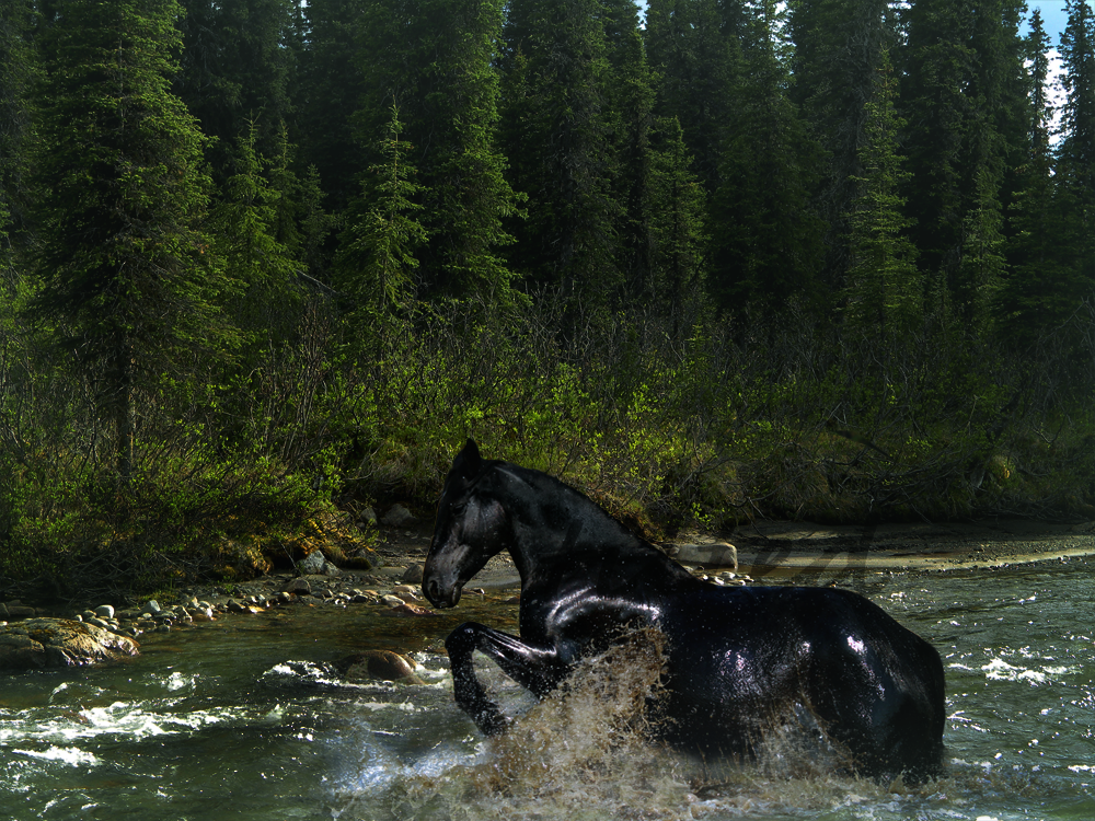 River Horse