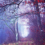 The Path to Wonderland by ElyneNoir