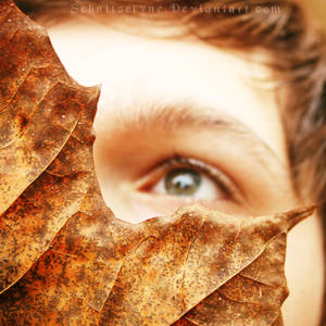 Autumn's Eyes by ElyneNoir