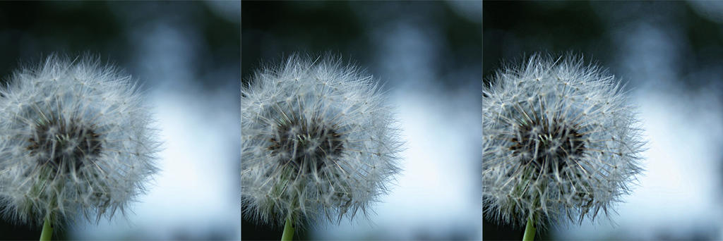 01 by ElyneNoir 01 by ElyneNoir