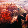 355 - Underwater Creatures
