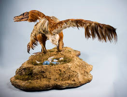 Velociraptor mongoliensis 1:1 Scale