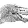 Tyrannosaurus Rex: LACM 23844