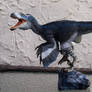 Blue Deinonychus 05