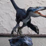 Blue Deinonychus 02