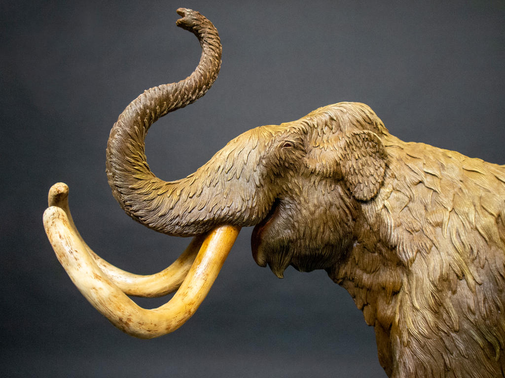 1:10 Scale Steppe Mammoth