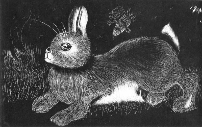 Scratchboard Rabbit Bunny Scratchboard by Mushroom-Knight on DeviantArt