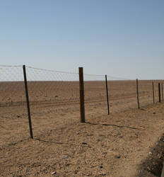 The Dog Fence