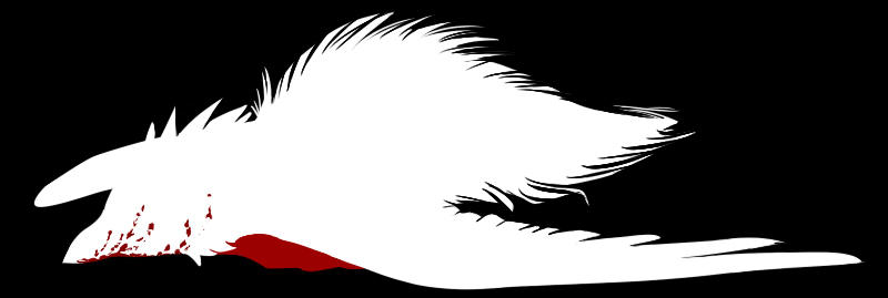 Bird Falling Deviantart Fallen Bird by Ravuhn on DeviantArt