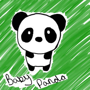 baby panda