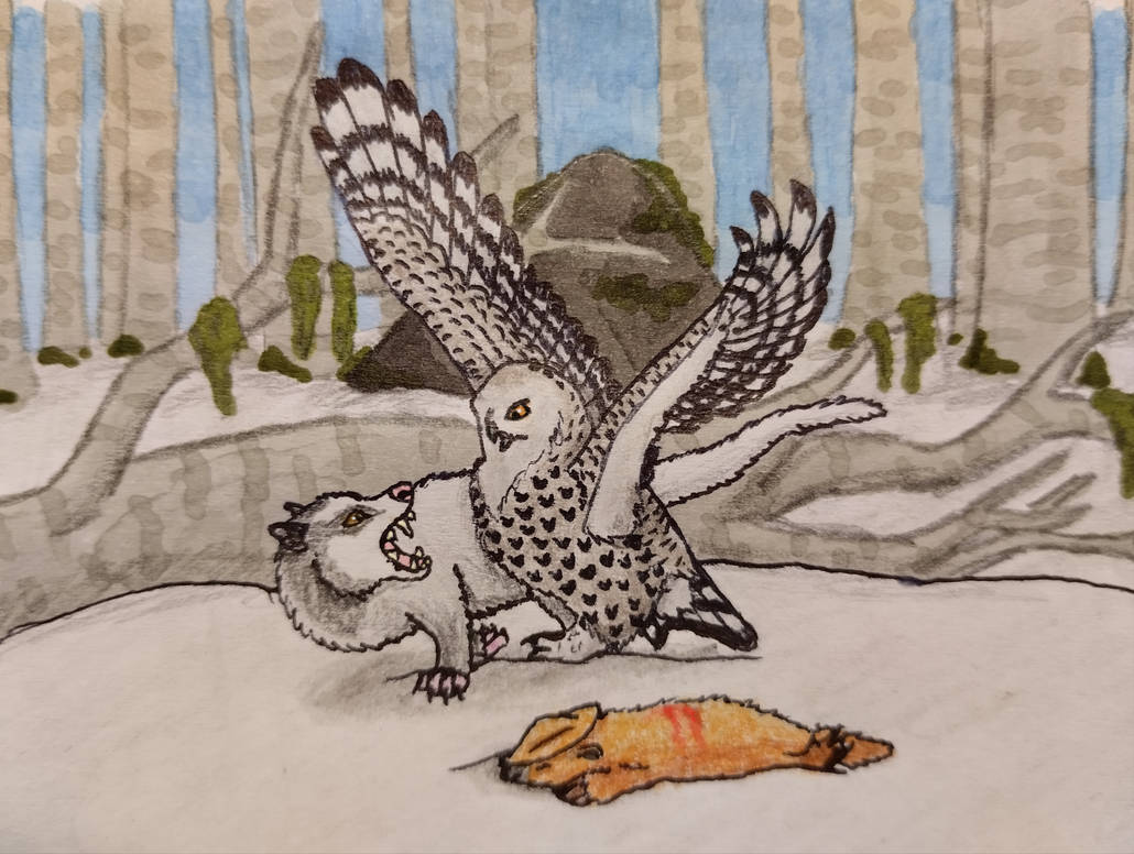 Bitter rivals by HinskieMaslo on DeviantArt