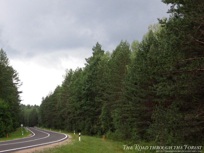 The Road Through the Forest