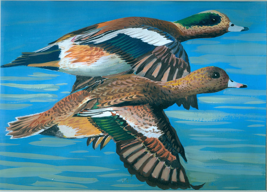 Duck Riding Deviantart Duck Art 1 by Mastiurcheef on DeviantArt