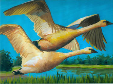 Geese Art 1