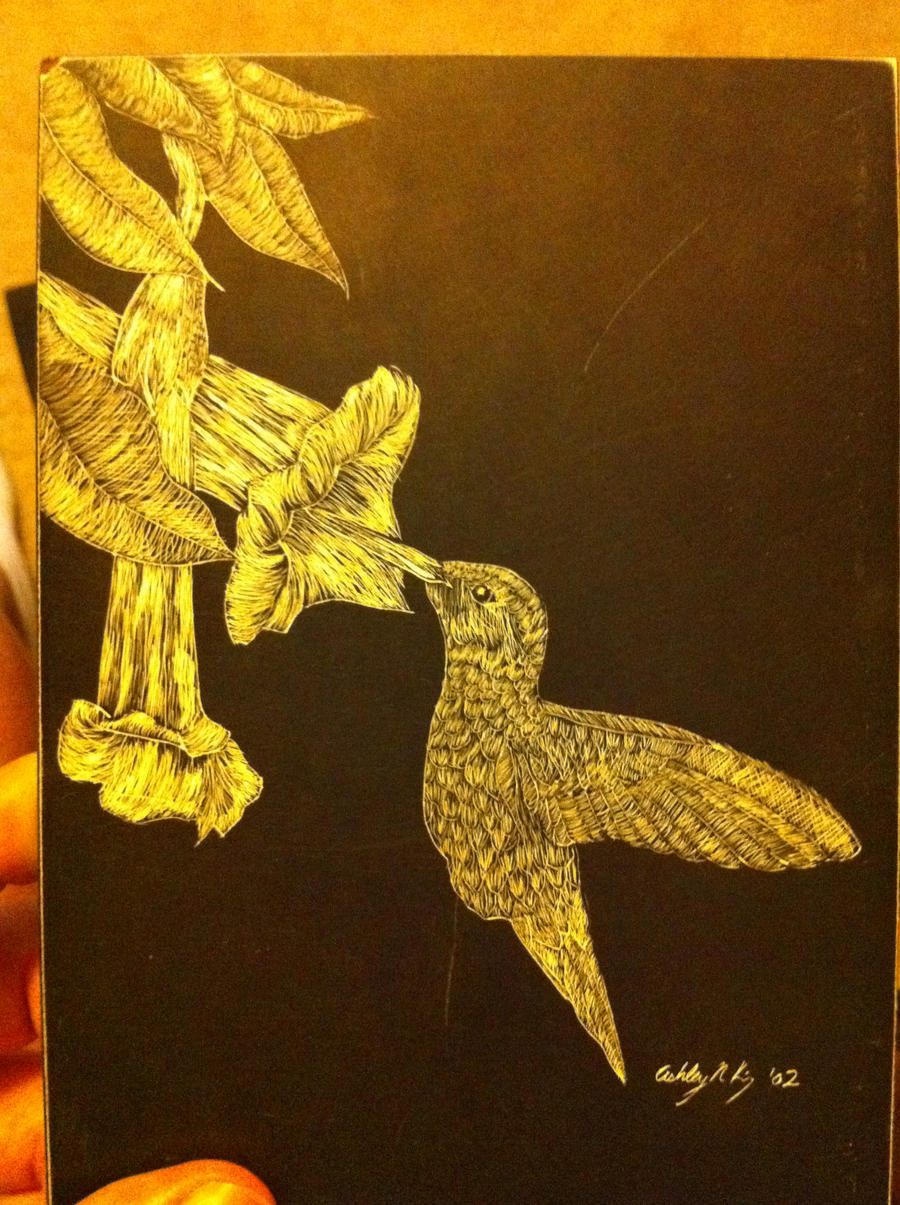 Scratch Board Hummingbird by SakaraGT4 on DeviantArt