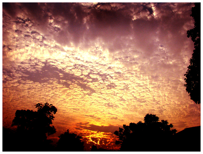 Clouds Love the Spotlight Too