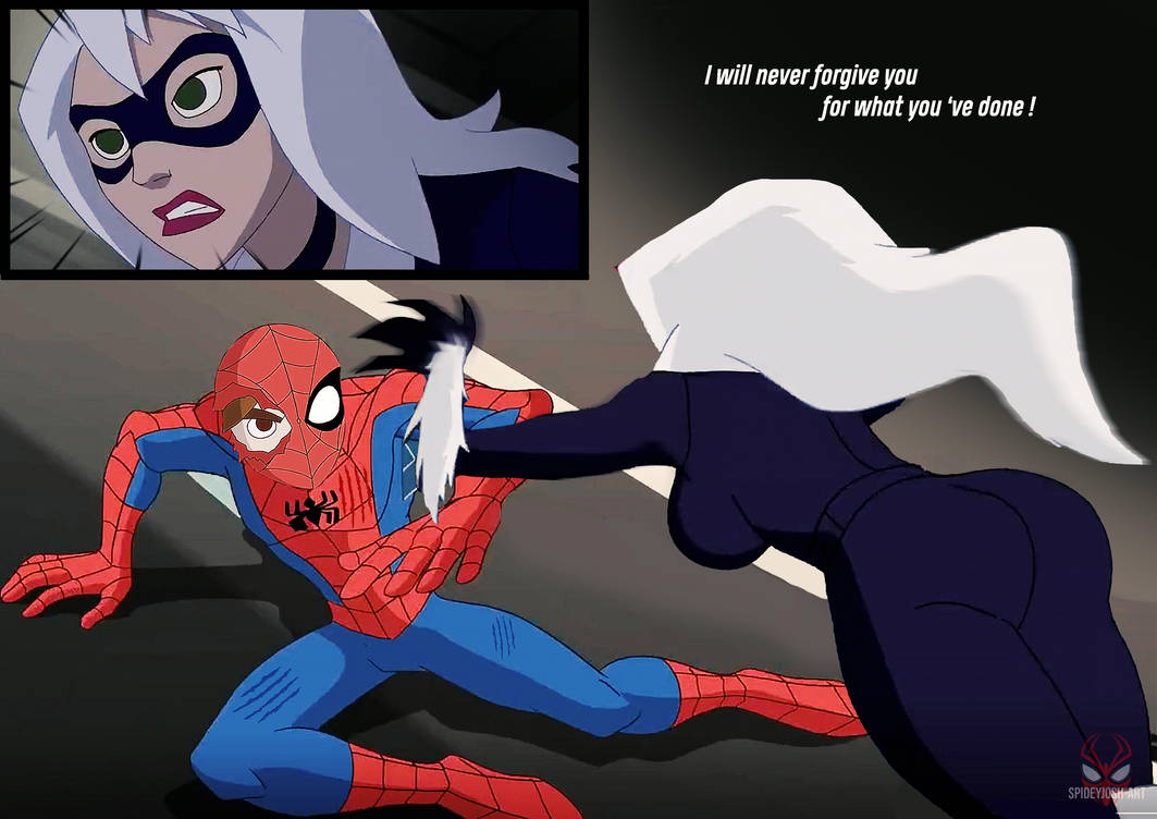 Spectacular Spiderman vs Black cat preview by SpideyJosh-art on DeviantArt