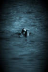 Deep Blue by meleena
