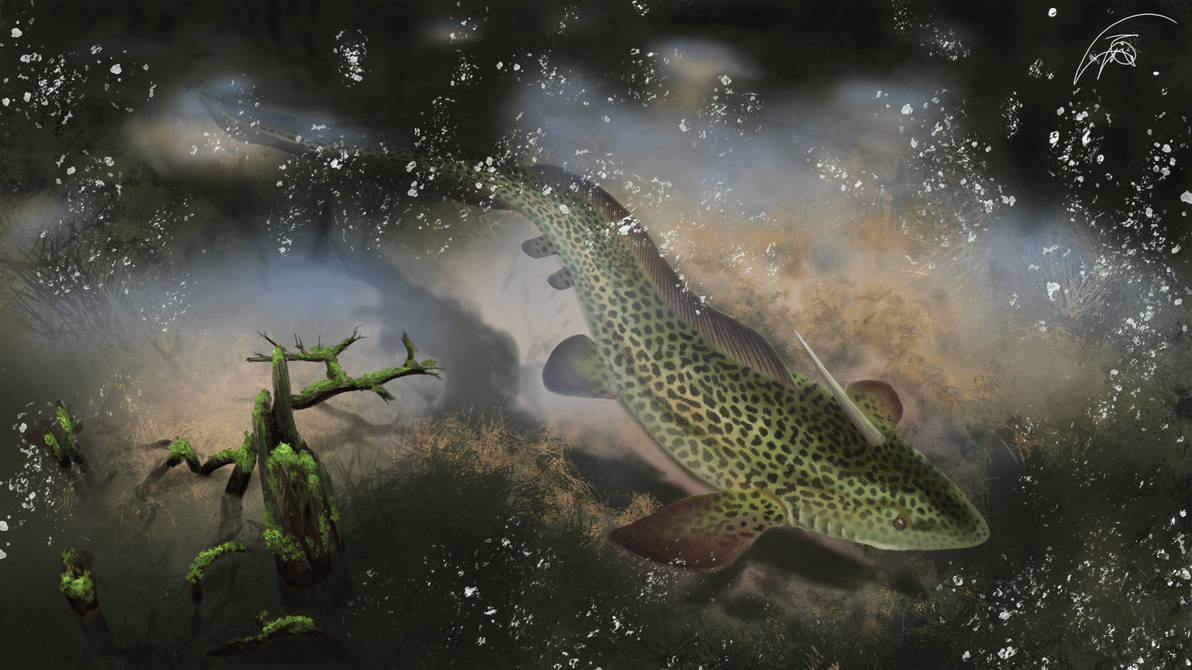 Xenacanthus in devonian swamp river by Bonjoer